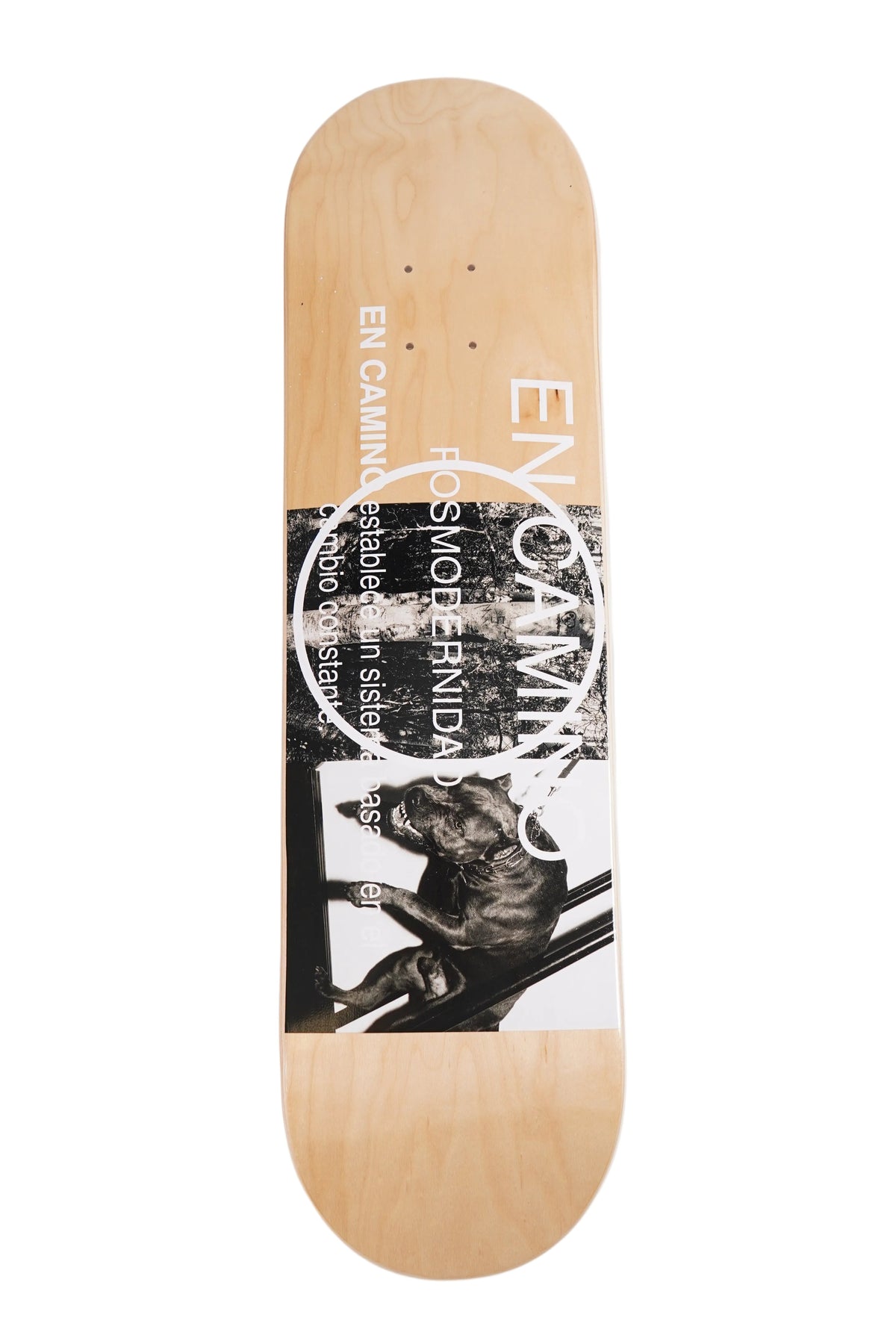 PM05 - Skate En Camino