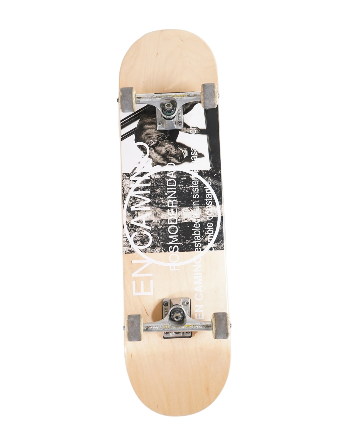 PM05 - Skate En Camino